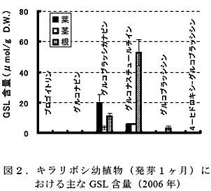 図2.キラリボシ幼植物(発芽1ヶ月)における主なGSL 含量(2006 年)