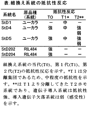 表.組換え系統の抵抗性反応