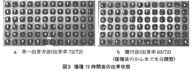 図3 播種72 時間後の出芽状態