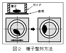 図2 種子整列方法