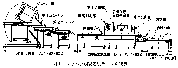 図1 キャベツ調製選別ラインの概要