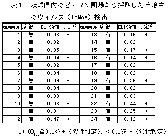 表1 茨城県内のピーマン圃場から採取した土壌中のウイルス(PMMoV)検出