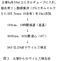 図3 土壌からのウイルス検出法