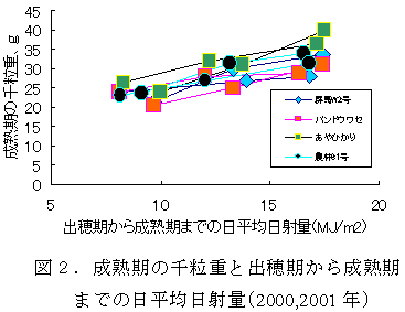 図2.成熟期の千粒重と出穂期から成熟期までの日平均日射量