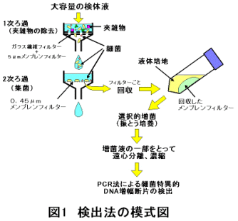 図1 検出法の模式図