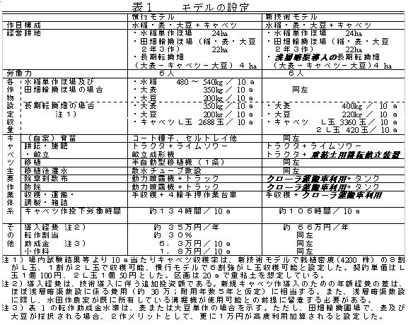 表1  モデルの設定