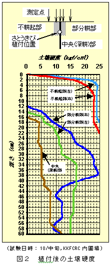 図2 植付後の土壌硬度