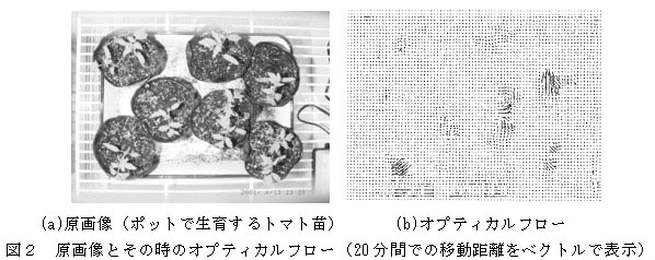 図2 原画像とその時のオプティカルフロー