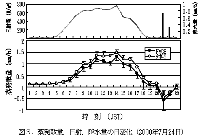 図3 蒸発散量、日射、降水量の日変化