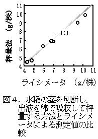 図4 水稲の茎を切断し、出液を綿で吸収して秤量する方法とライシメータによる測定値の比較