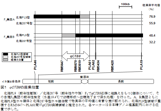 図1 qCTB8の座乗位置