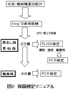 図2 保菌検定マニュアル