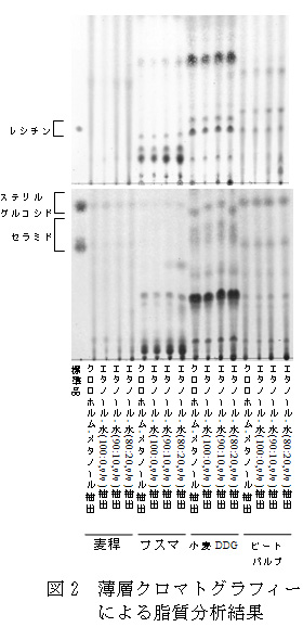 図2 薄層クロマトグラフィーによる脂質分析結果