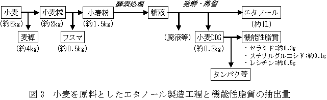 図3 小麦を原料としたエタノール製造工程と機能性脂質の抽出量