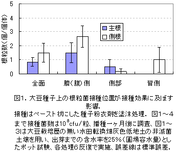 図1.大豆種子上の根粒菌接種位置が接種効果に及ぼす影響.