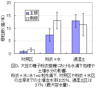 図3.大豆の種子粉衣接種における水滴下処理や土壌水分の影響.