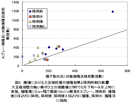 図4.圃場における大豆根粒菌の接種効果と降雨時期の影響.