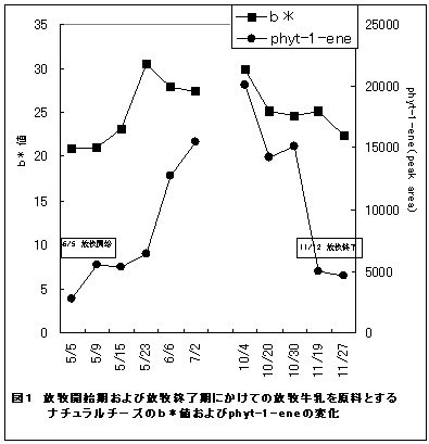 図1  放牧開始期および放牧終了期にかけての放牧牛乳を原料とするナチュラルチーズのb*値およびphyt-1-eneの変化