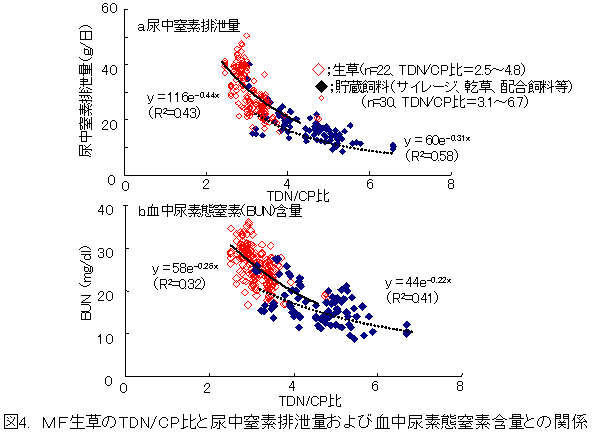図4. MF生草のTDN/CP比と尿中窒素排泄量および血中尿素態窒素含量との関係