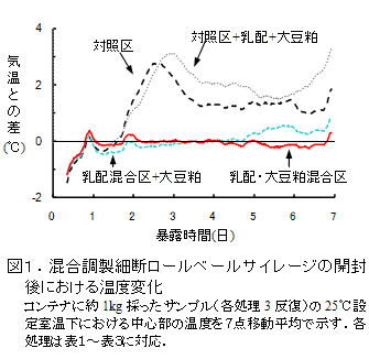 図1.混合調製細断ロールベールサイレージの開封後における温度変化