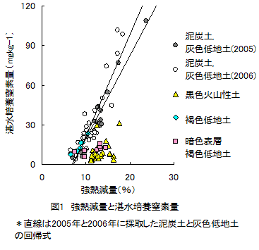 図1 強熱減量と湛水培養窒素量