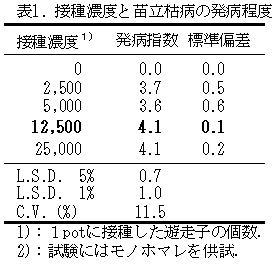 表1. 接種濃度と苗立枯病の発病程度