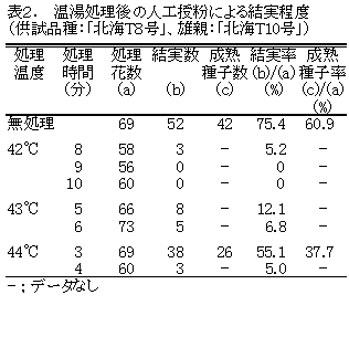 表2.温湯処理後の人工授粉による結実程度(供試品種:「北海T8号」、雄親:「北海T10号」)