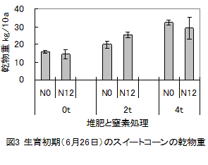 図3 生育初期(6月26日)のスイートコーンの乾物重