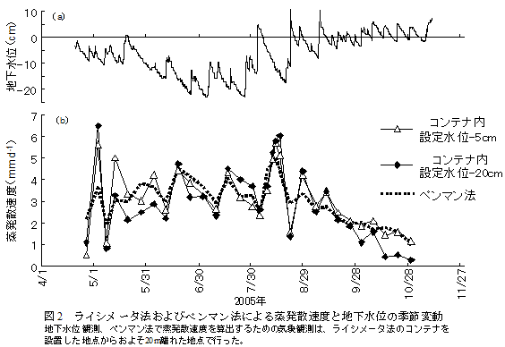 図2 ライシメータ法およびペンマン法による蒸発散速度と地下水位の季節変動