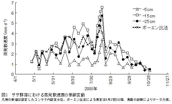 図1 ササ群落における蒸発散速度の季節変動
