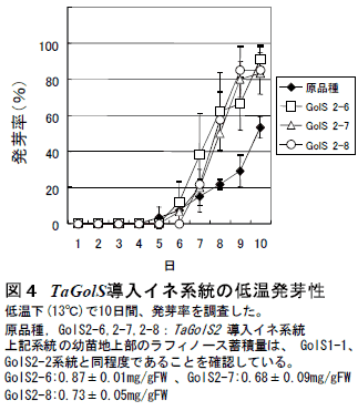 図4 TaGolS導入イネ系統の低温発芽性