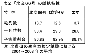 表2 「北交66号」の雌穂特性