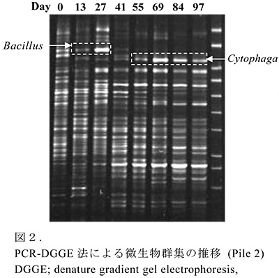 図2.PCR-DGGE 法による微生物群集の推移 (Pile 2) DGGE; denature gradient gel electrophoresis,