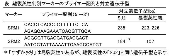 表 難裂莢性判別マーカーのプライマー配列と対立遺伝子型