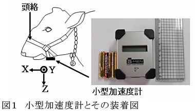 図1 小型加速度計とその装着図