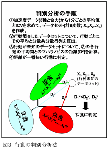 図3 行動の判別分析法