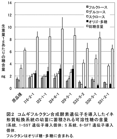 図2 コムギフルクタン合成酵素遺伝子を導入したイネ形質転換系統の幼苗に蓄積される可溶性糖の含量 I系統, 1-SST遺伝子導入個体; S系統, 6-SFT遺伝子導入個体. フルクタンはオリゴ糖・多糖に含まれる.