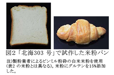 図2「北海303号」で試作した米粉パン
