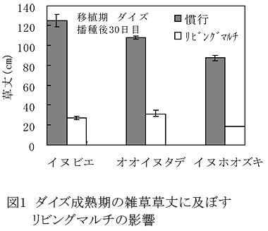 図1 ダイズ成熟期の雑草草丈に及ぼすリビングマルチの影響