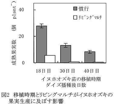 図2 移植時期とリビングマルチがイヌホオズキの果実生産に及ぼす影響