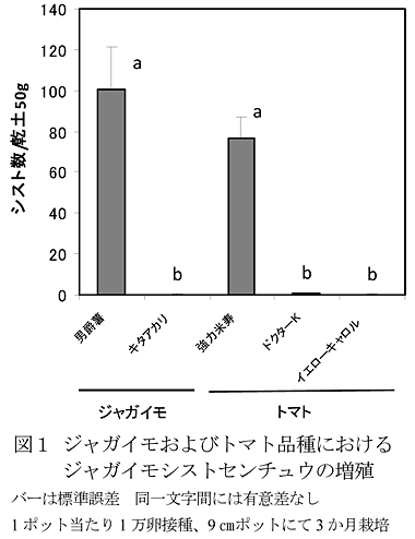 図1 ジャガイモおよびトマト品種におけるジャガイモシストセンチュウの増殖 バーは標準誤差 同一文字間には有意差なし 1ポット当たり1万卵接種、9cmポットにて3か月栽培