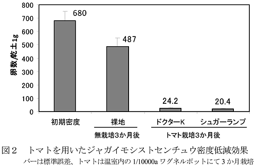 図2 トマトを用いたジャガイモシストセンチュウ密度低減効果 バーは標準誤差、トマトは温室内の1/10000aワグネルポットにて3か月栽培