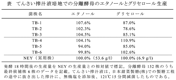 表 てんさい搾汁液培地での分離酵母のエタノールとグリセロール生産