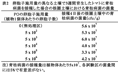 表2 卵胞子施用量の異なる土壌で3週間育生したトマトに青枯病菌を接種した場合の根圏土壌における青枯病菌の菌量