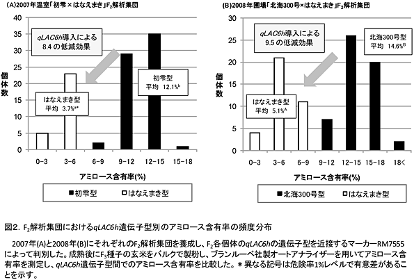 図2.F2解析集団におけるqLAC6h遺伝子型別のアミロース含有率の頻度分布