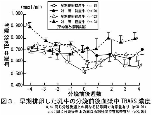 図3.早期排卵した乳牛の分娩前後血漿中 TBARS 濃度