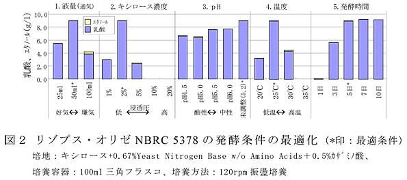 図2 リゾプス・オリゼNBRC 5378の発酵条件の最適化(*印:最適条件) 培地:キシロース+0.67%Yeast Nitrogen Base w/o Amino Acids+0.5%カザミノ酸、 培養容器:100ml三角フラスコ、培養方法:120rpm振盪培養