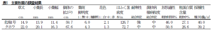 表1 主要形質の調査結果