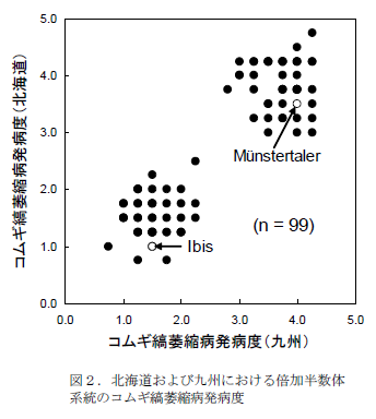 図2.北海道および九州における倍加半数体系統のコムギ縞萎縮病発病度