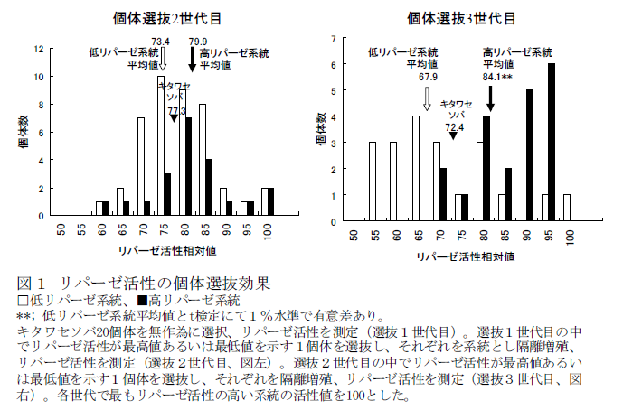 図1 リパーゼ活性の個体選抜効果